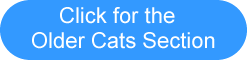 Older cats Section