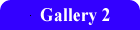 Gallery 2
