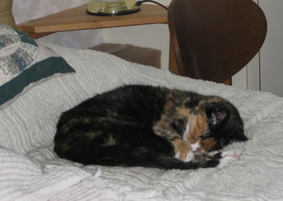 Tilly