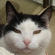 Smudge
