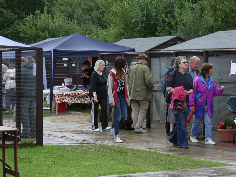 Open Day 2011
