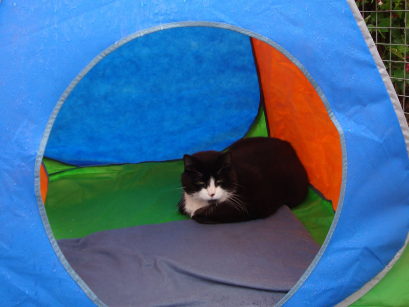 Open Day 2011