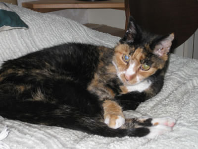 Tilly