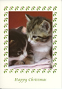 Pack 4 - Christmas Kittens