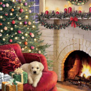Pack 19 - Christmas Night
