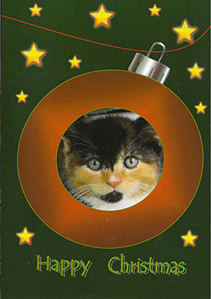 Pack 22 - Kitten Bauble