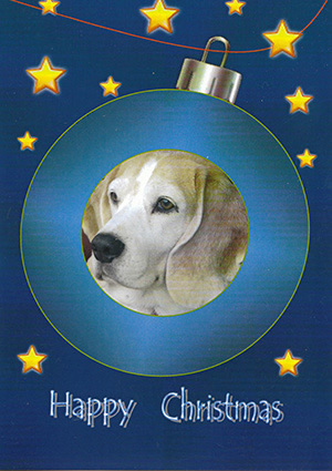 Pack 23 - Dog Bauble