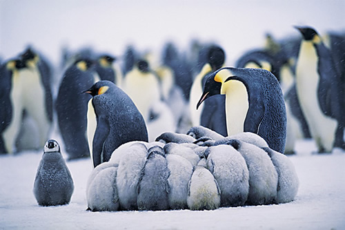 Standing Out