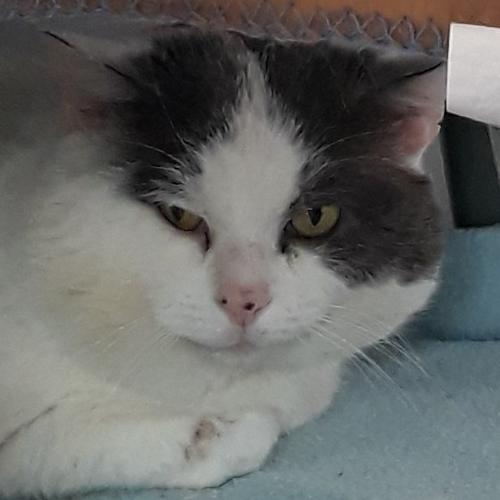 Sid